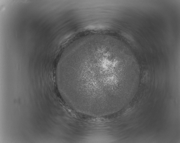 X0000059850966200511041835