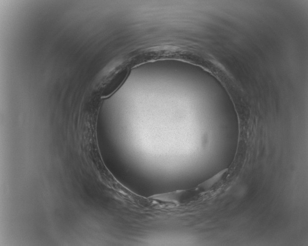 X0000059850967200511041835