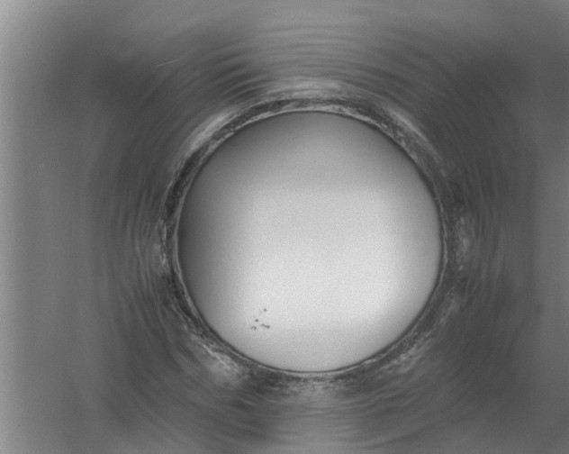 X0000059850970200511041835