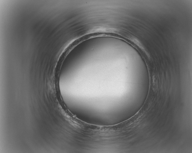 X0000059850972200511041835