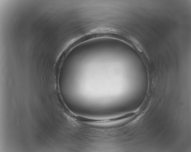 X0000059850973200511041835