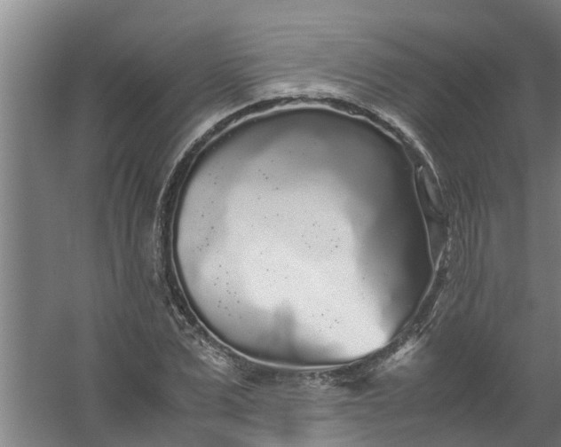 X0000059850975200511041835