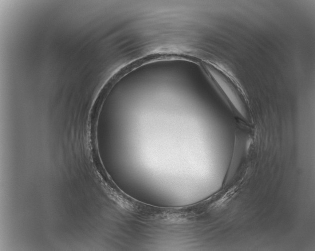 X0000059850976200511041835