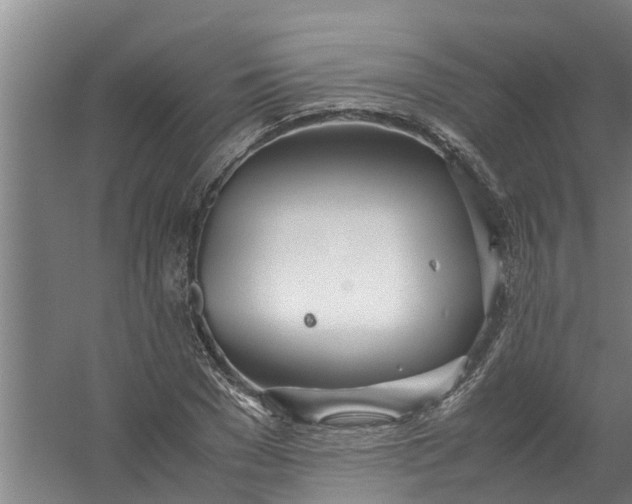 X0000059850977200511041835