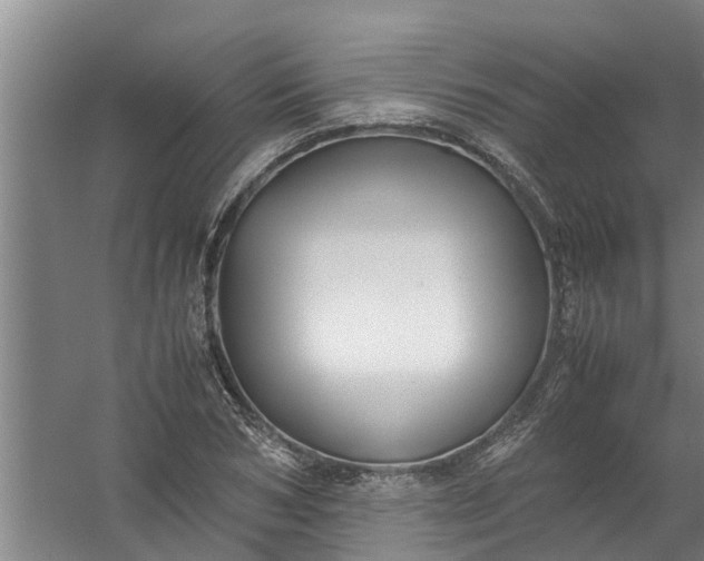 X0000059850978200511041835