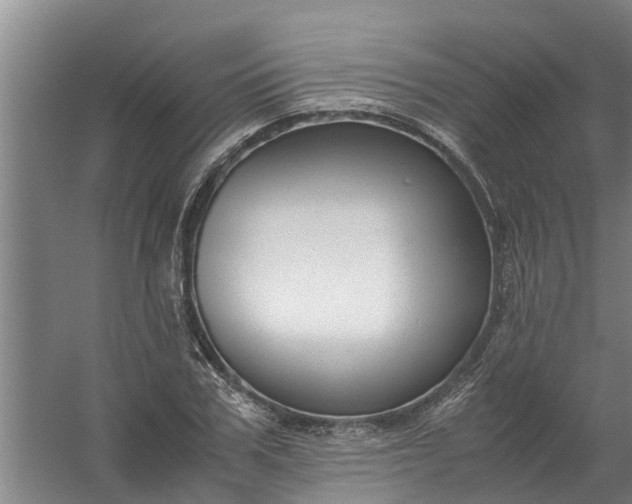 X0000059850979200511041835