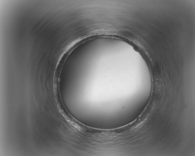 X0000059850981200511041835