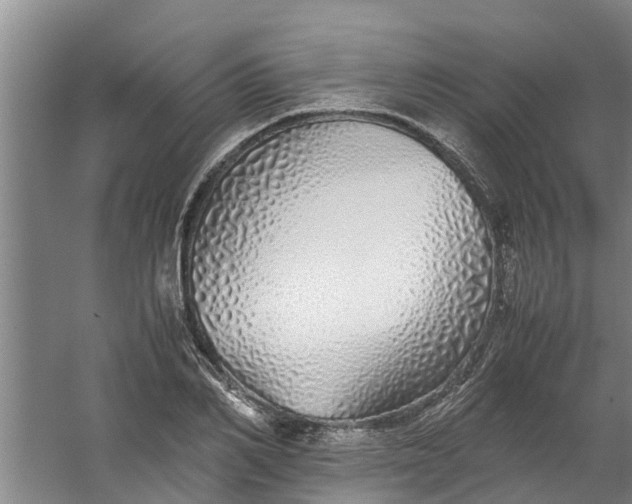 X0000059850982200511041835