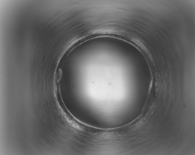 X0000059850984200511041835