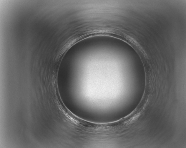 X0000059850985200511041835