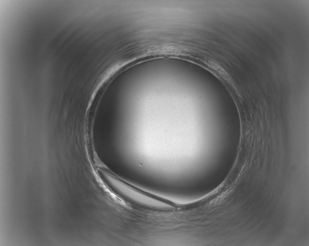 X0000059850989200511041835