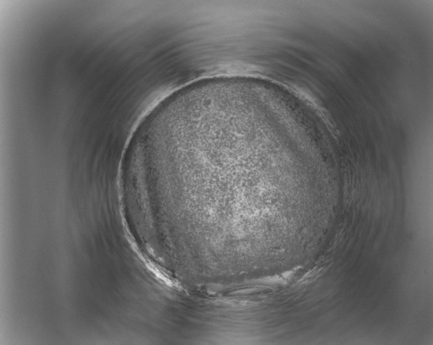 X0000059850990200511041835