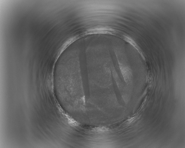 X0000059850994200511041835