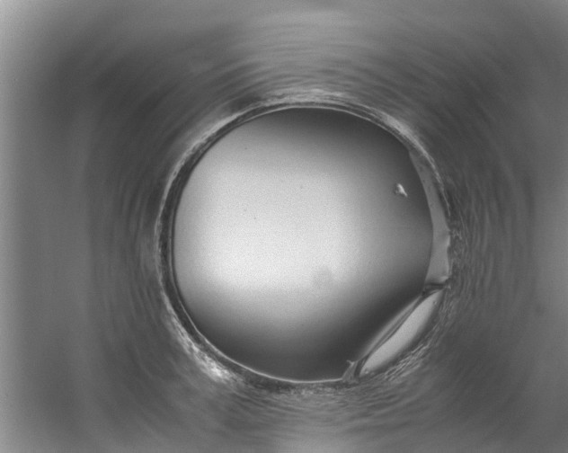 X0000059850995200511041834