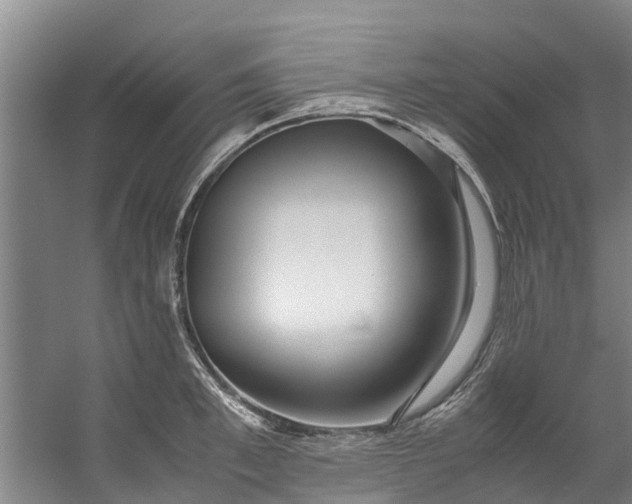 X0000059850997200511041834