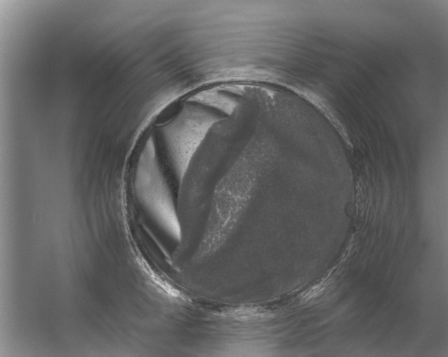 X0000059850998200511041834