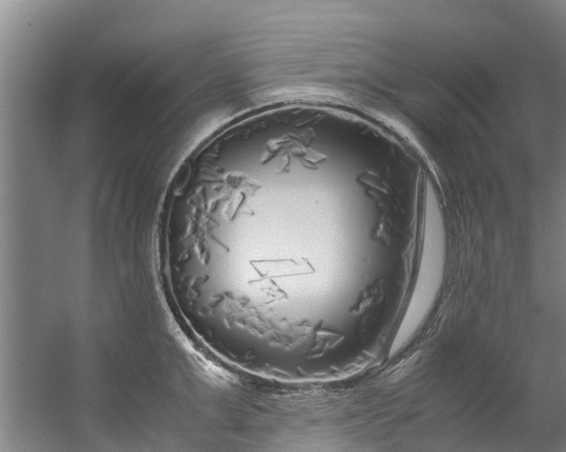 X0000059850999200511041834