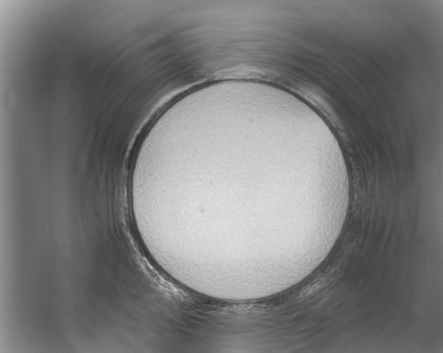 X0000059851000200511041834