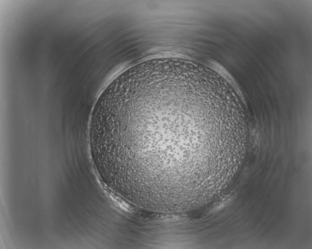 X0000059851002200511041834