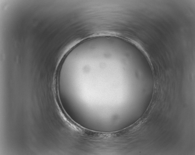 X0000059851003200511041834