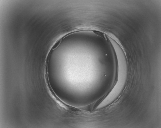 X0000059851005200511041834