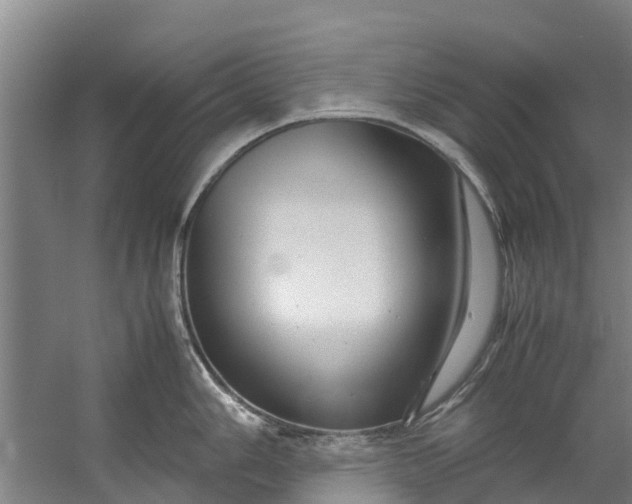 X0000059851006200511041834