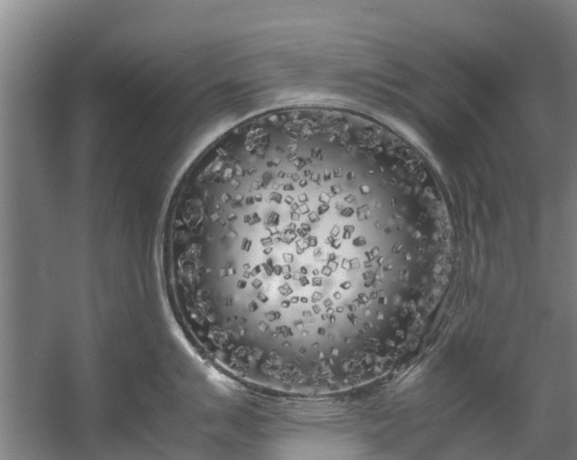 X0000059851007200511041834