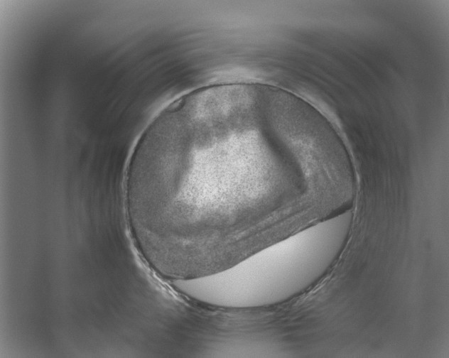 X0000059851008200511041834