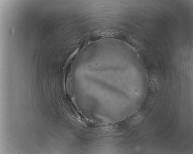 X0000059851010200511041833