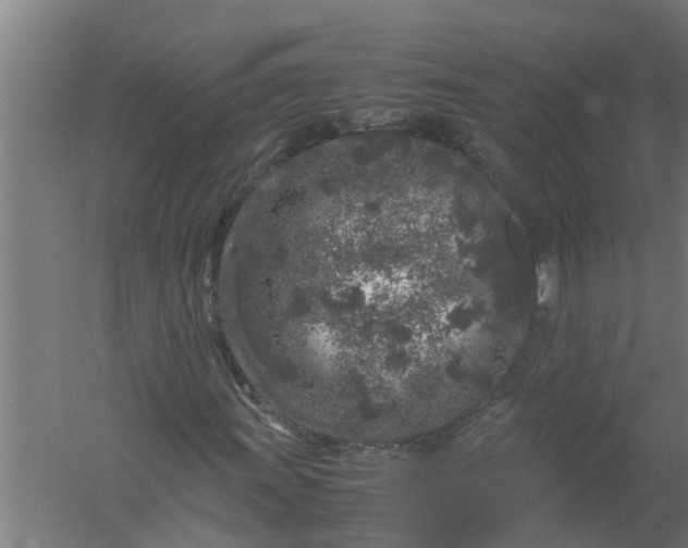 X0000059851011200511041833