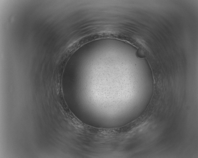 X0000059851015200511041834