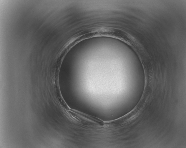 X0000059851017200511041834