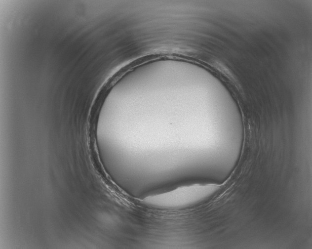 X0000059851020200511041834