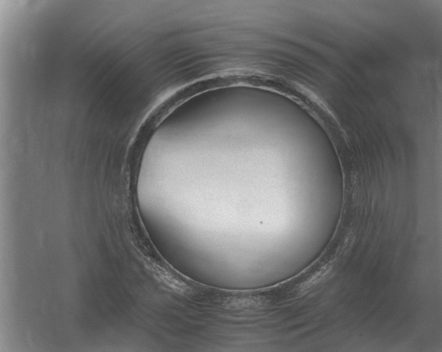 X0000059851021200511041834