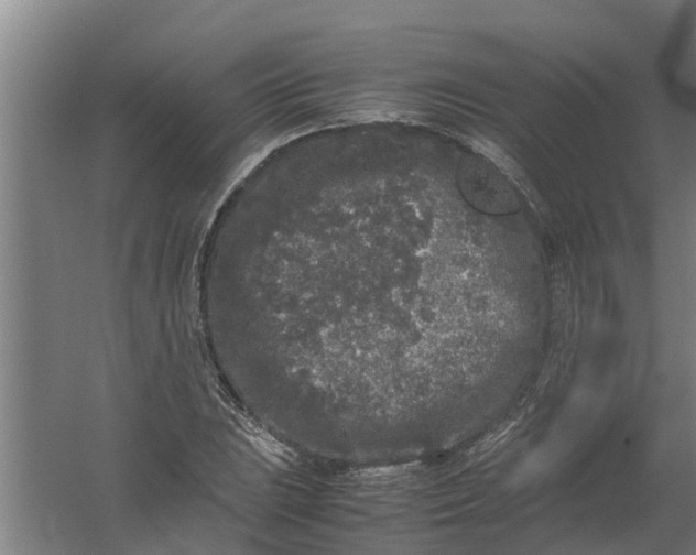 X0000059851023200511041834