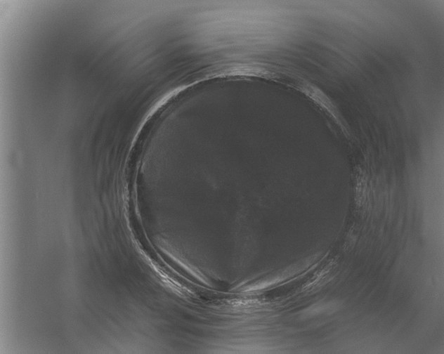 X0000059851024200511041834