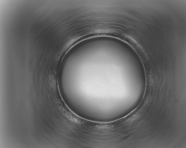 X0000059851025200511041834