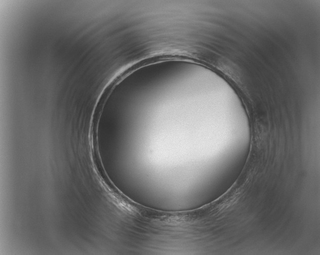 X0000059851028200511041834