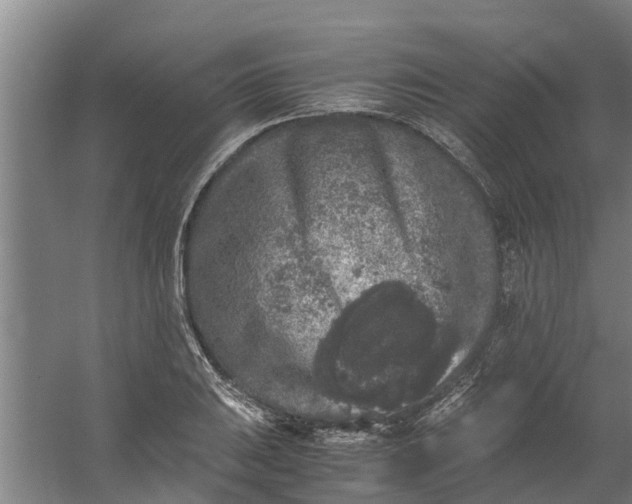 X0000059851031200511041834