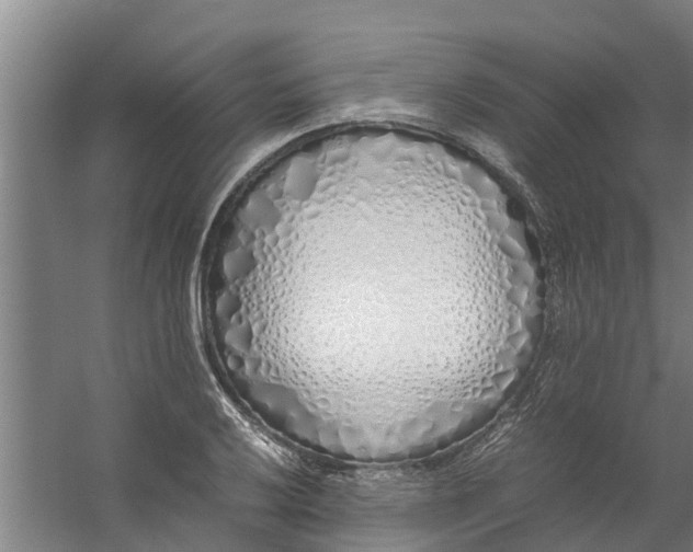 X0000059851032200511041834