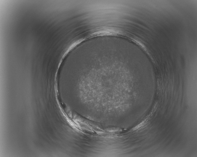 X0000059851034200511041834