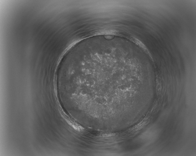 X0000059851035200511041834