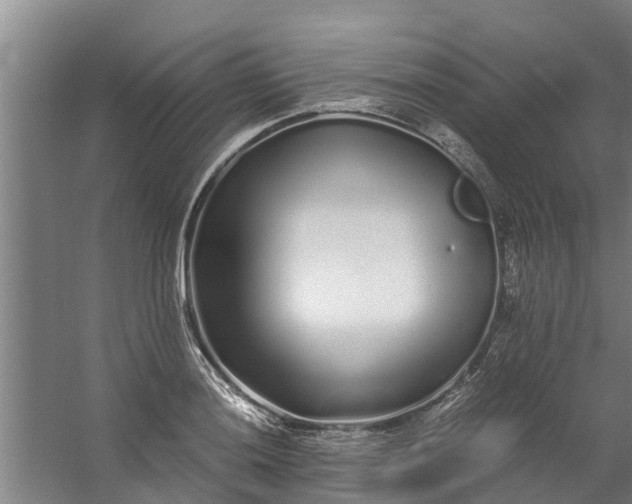 X0000059851036200511041834