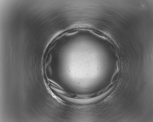 X0000059851038200511041834