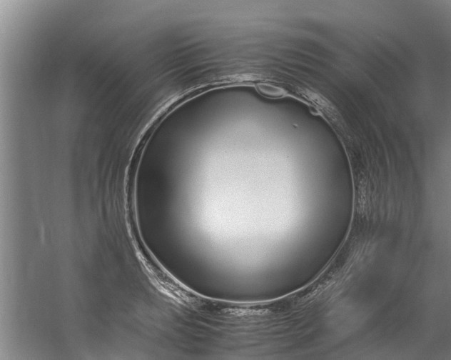 X0000059851039200511041834