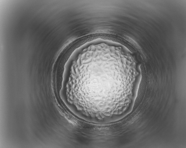 X0000059851043200511041834