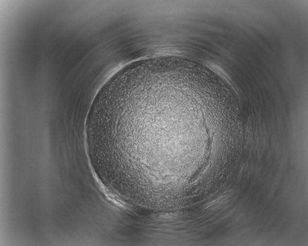 X0000059851047200511041834