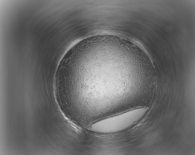 X0000059851048200511041834