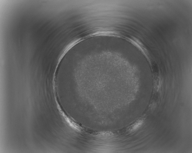 X0000059851050200511041834