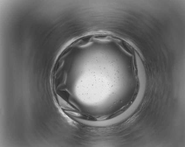 X0000059851054200511041834